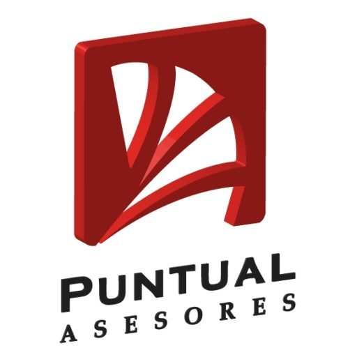 Puntual Asesores